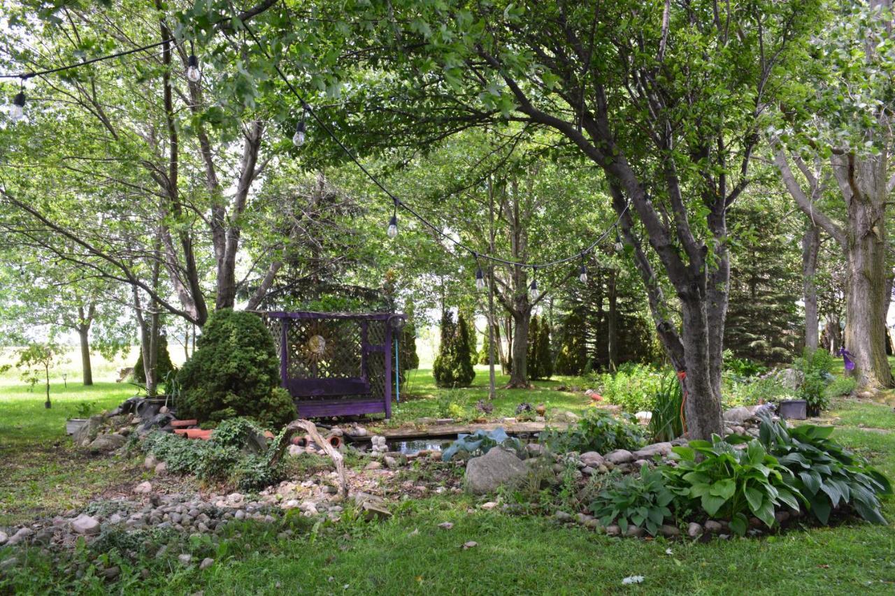 Birds Point Cottage On A Cliff Facing Lake Erie. Wheatley Exterior foto